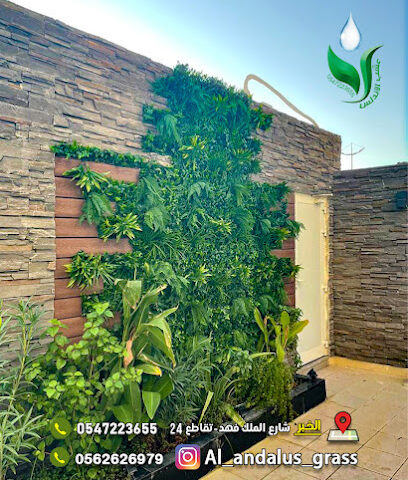عشب الاندلس الدمام - Dammam - +966 56 262 6979