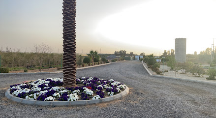Rose Garden Company for the production of seedlings and flowers - Uyun Al Jawa - +966 50 329 5555