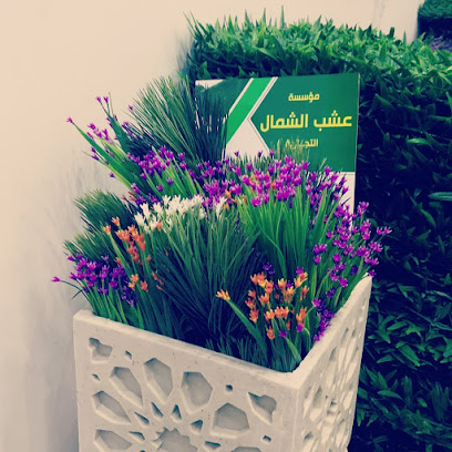 عشب الشمال للعشب الصناعي - Dammam - +966 55 002 9494