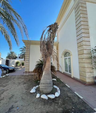 The Law Firm of Salah Al Hejailan - Jeddah - +966 12 698 5888