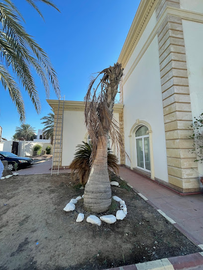 The Law Firm of Salah Al Hejailan - Jeddah 21444