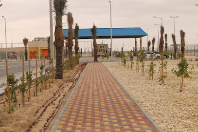 Mohd Nasser Al Suroor Est - Dammam - +966 13 817 7694