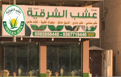 مؤسسة عشب الشرقية للعشب الصناعي - Dammam - +966 59 285 8440