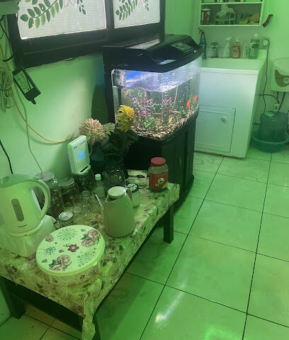 الرفيعة للمساج - Anak - +966 57 804 4410