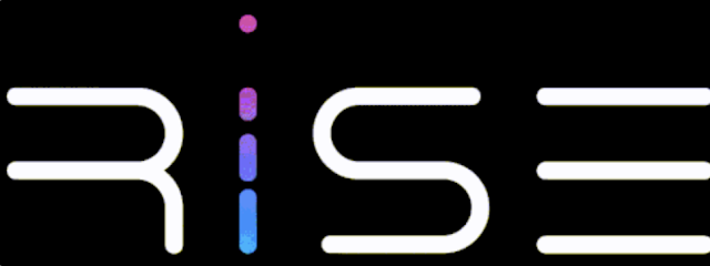 Rise For Business Services - Riyadh -