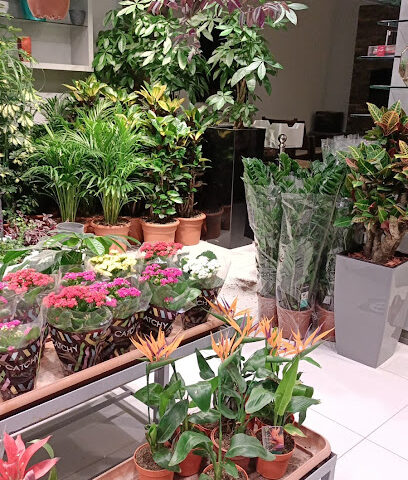 Rosemary Contracting Company - Riyadh - +966 50 524 0559