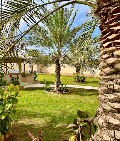Nakhlah co. شركة نخلة الزراعية - Dammam - +966 55 294 7366