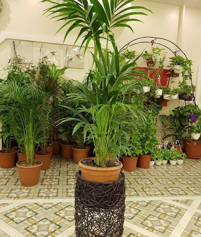 Nabatat Contracting Co. - Dammam - +966 13 330 7500