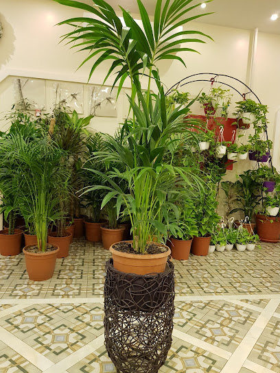 Nabatat Contracting Co. - Saudi Arabia|Dammam 34251|Al Firdaws|Prince Mohammed Bin Fahd Branch Rd