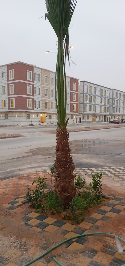 مشتل الأمل لتنسيق الحدائق والزراعة - Saudi Arabia|Riyadh 12675|Al Yamamah|Al Farian