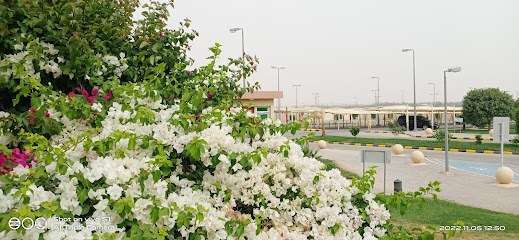 Psychiatric Rehabilitation Center - Buraydah - +966 16 325 1556