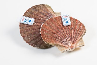 Alharbi Seafood - Jeddah - +966 55 114 1649