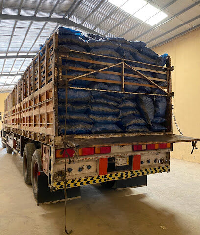 HandLE Logistics - Riyadh - +966 11 489 8260