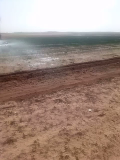 كنوز عنز الزراعية لإنتاج وتصدير المنتجات الزراعية - Saudi Arabia|المشنوطية 56794|77P6+393