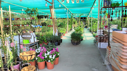 WORLD PLANTS Nursery & Landscaping Est. - Saihat -