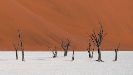 Desert Ice Factory, Al Majmah Saudi Arabia شركة ثلج الصحراء، المجمعة السعودية - Al Majma'ah - +966 50 818 4705