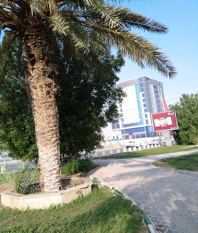 hafar al batin - Hafar Al Batin - +966 55 369 3081