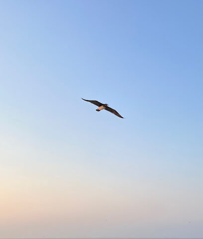 Yanbu Corniche - Yanbu -