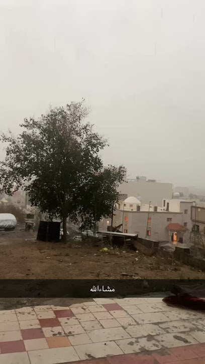 الريان - Saudi Arabia|Taif 26523|TADC7014