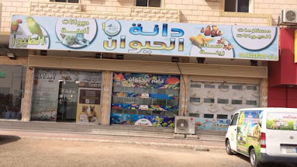 Dana animals and birds warblers - Tabuk -