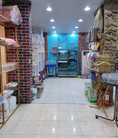 الغابه للطيور والحيوانات الأليفة - Bisha - +966 50 965 4164