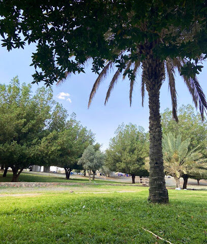 Ring road garden - Taif -