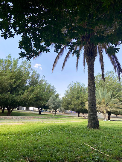 Ring road garden - Saudi Arabia|Taif 26528|Alghumayr|79XJ+WQX