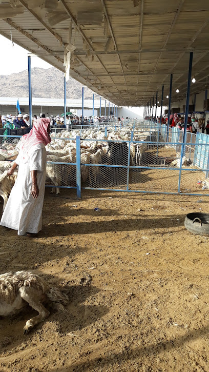 Pemotongan Hewan Syauqiyah - Saudi Arabia|Mecca 24365|Walyal Ahd Dist.|8QMQ+2F8