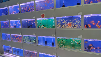 Al Rasheed Pet Shop - Dammam -