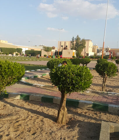 Rock garden - Al Duwadimi -