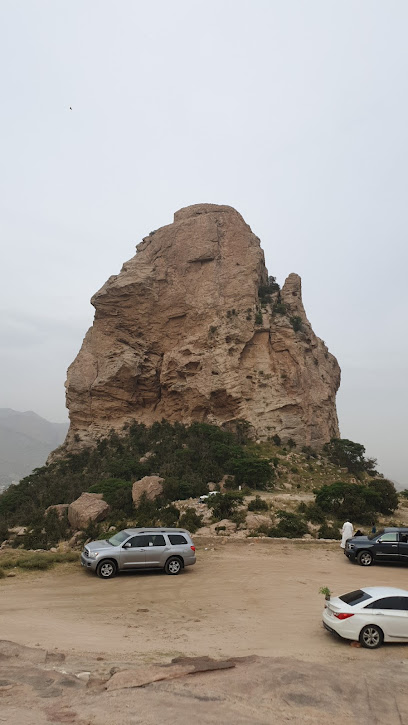 الجبل المميز - Saudi Arabia|Tanomah 62712|W5HG+JR2