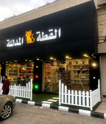 متجر القطة المدللة - Hafar Al Batin - +966 55 595 4425
