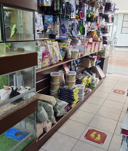 Pets Houses‏ - Al Khobar - +966 13 847 5646