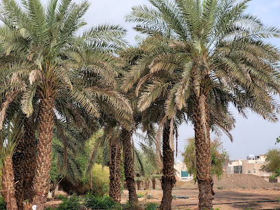 Bir Uthman Park - Al Madinah Al Munawwarah -