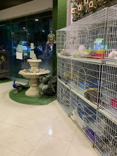 طبيعة الحياة للحيونات الاليفة - Buraydah 52391