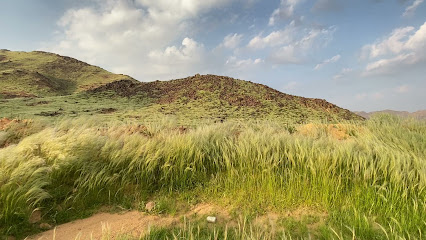 استراحة حويمد - Badr -