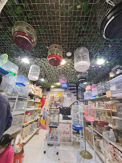 Ruwais Pet Supply Market - Saudi Arabia|6716 حائل، AR Ruwais District