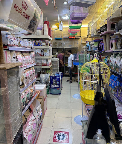 Kinder Garten for Birds and Pets - Al Khobar -