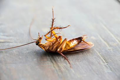 AL BUSTAN PEST CONTROL - Dammam - +966 59 852 1257