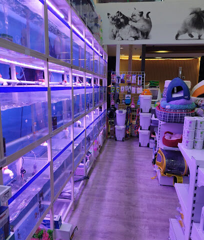 arnoup pets store _ متجر ارنوب للحيوانات الاليفة و مستلزماتها - Riyadh - +966 55 136 5747
