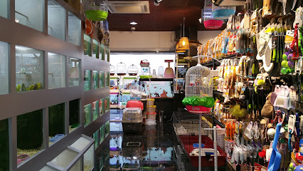 Happy Paws - Riyadh - +966 56 663 5052