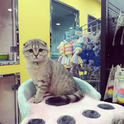 Awa pet shop أوا للحيوانات الأليفة - Riyadh - +966 55 578 7091
