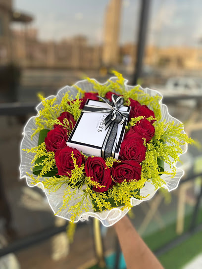 حديقة أريس - Saudi Arabia|Ad Dilam 16323|Al Sahnah