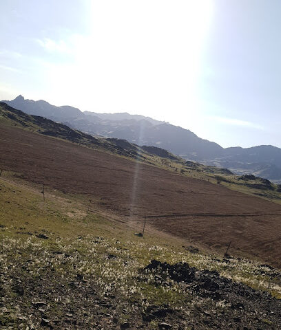 مزرعة محمد بن عاتق - Badr -