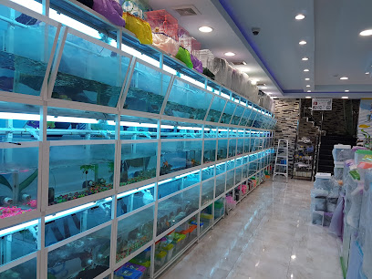 Beauty Pets - Dammam - +966 50 890 4070