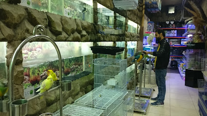 pets land - Riyadh - +966 55 269 6644