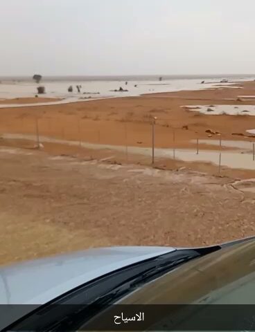 ابا الورود - Tumair -