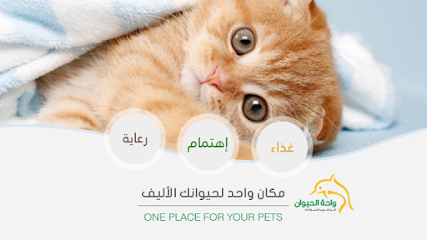 Pet Oasis - Al Malaz - Riyadh - +966 9200 35359
