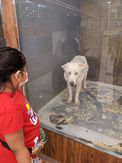 Zoo Pet Shop - Saudi Arabia|Riyadh 12312|Al Mathar Ash Shamali|537 Al Takhassousi