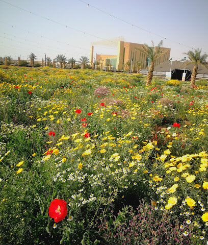 Municipality Tamir - Tumair - +966 16 443 7725